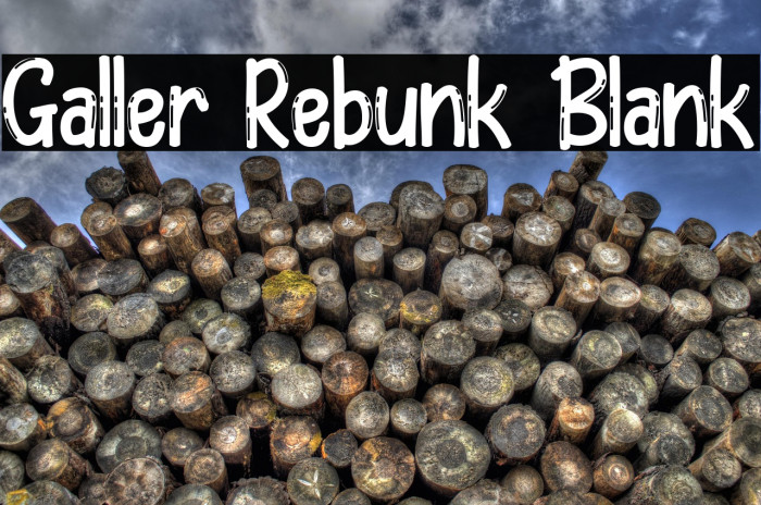 Galler Rebunk Blank Example 3