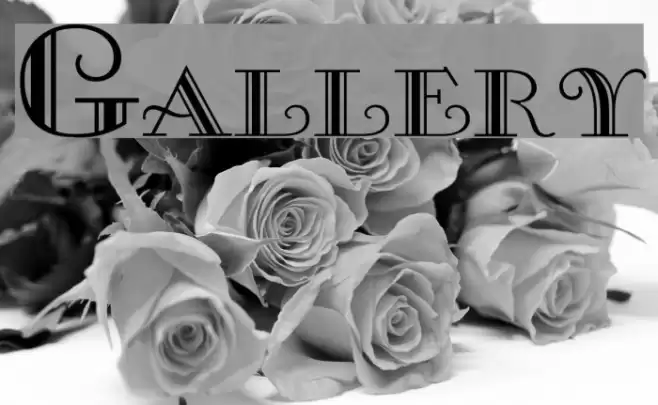 Gallery フォント examples