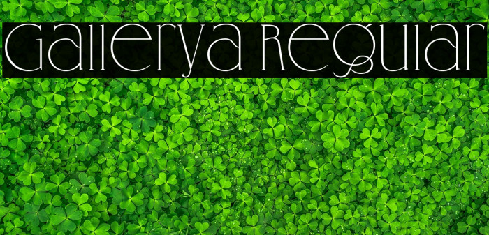 Gallerya Regular Example 2