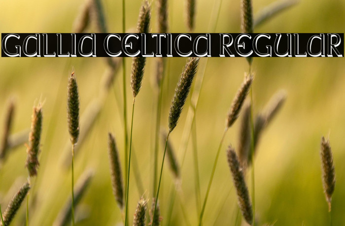 Gallia Celtica Regular Example 3