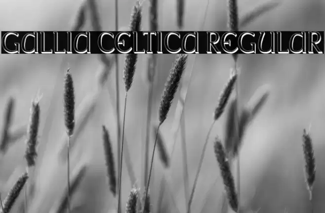 Gallia Celtica Regular Font examples