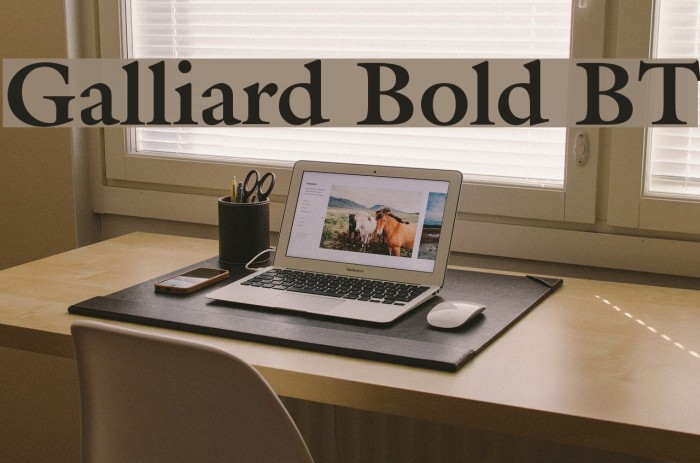 Galliard Bold BT Font examples