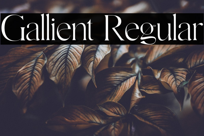 Gallient Regular Example 2