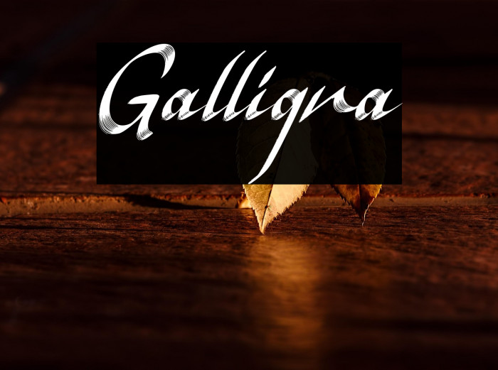 Galligra Example 1