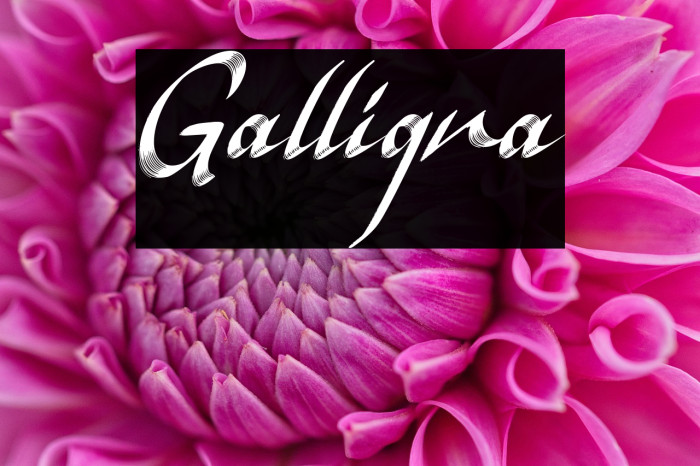 Galligra Example 2