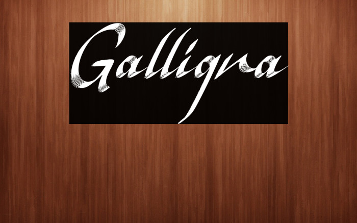 Galligra Example 3