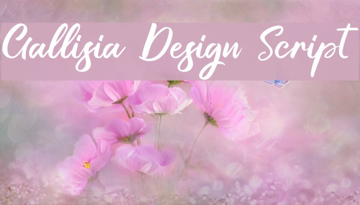 Gallisia Design Script Font examples