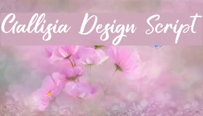 Gallisia Design Script Example 2