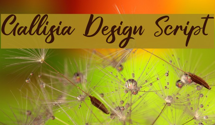 Gallisia Design Script Font examples