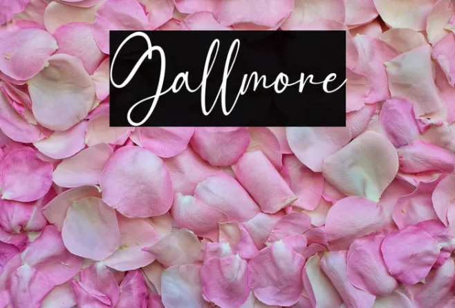 Gallmore Example 1