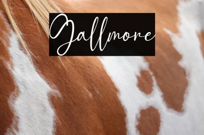 Gallmore Example 2