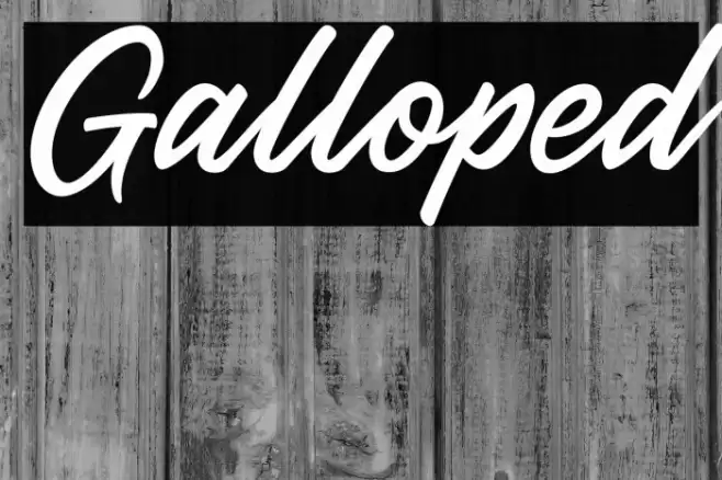 Galloped Font examples