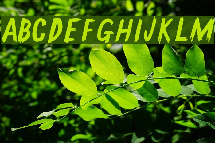 GallowTree-Regular Font examples
