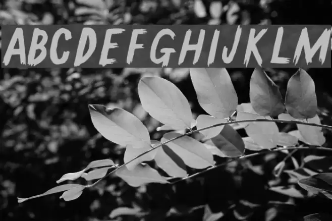 GallowTree-Regular Font examples