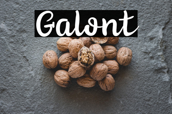 Galont Example 1