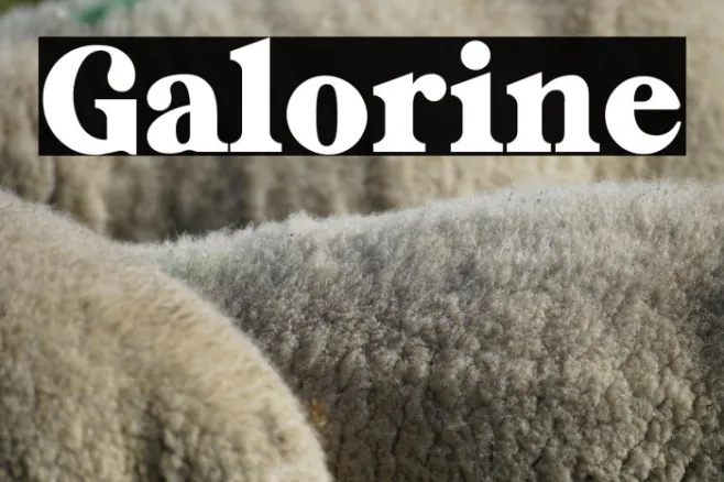 Galorine Example 1