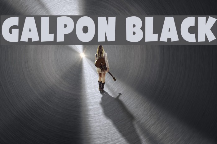 Galpon Black Font examples