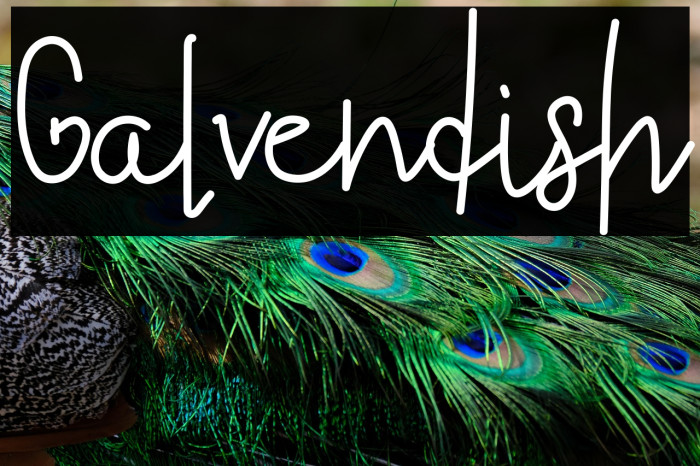 Galvendish Example 2