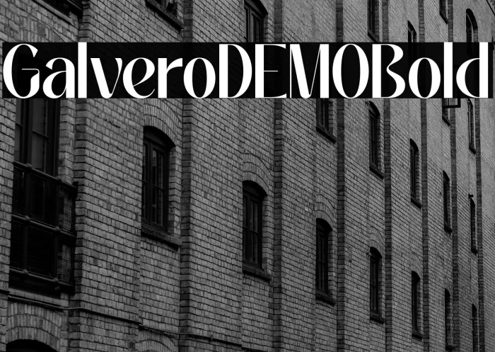 Galvero DEMO Bold Example 1
