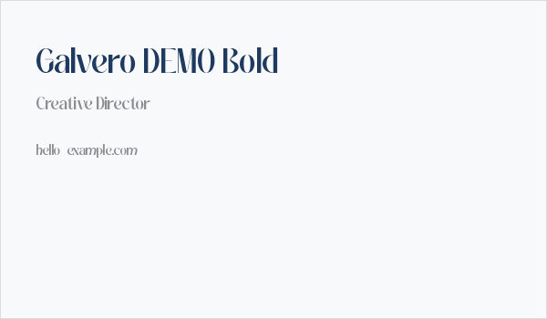 Galvero DEMO Bold Business Card