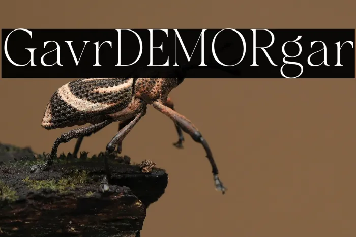 Galvore DEMO Regular Example 1