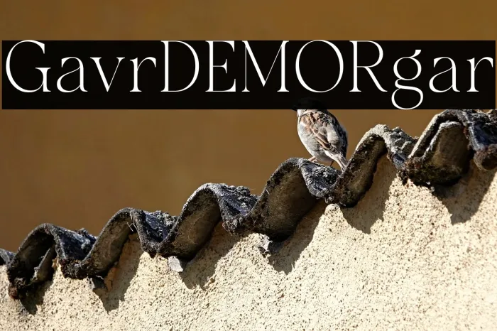 Galvore DEMO Regular Example 2