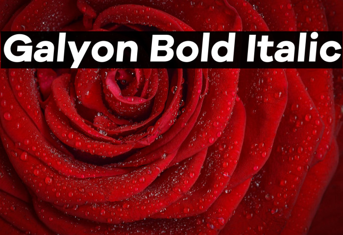 Galyon Bold Italic Example 1