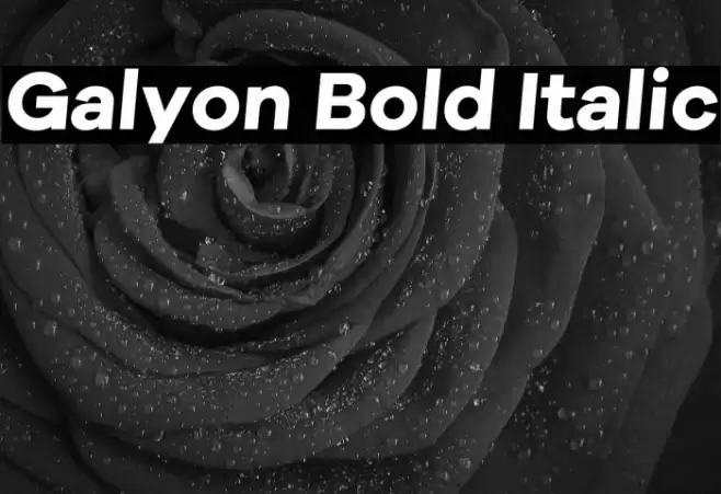 Galyon Bold Italic Caratteri examples