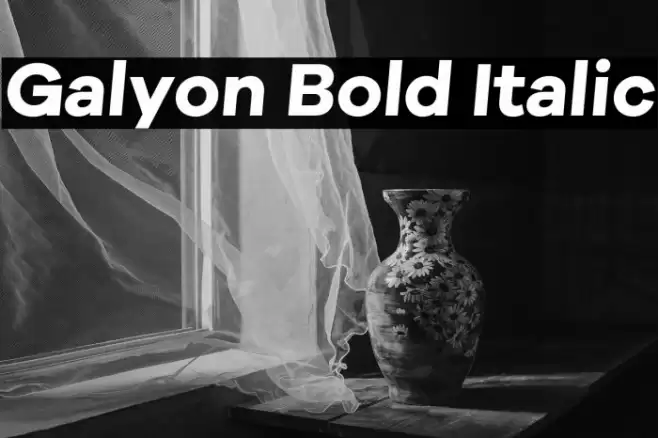 Galyon Bold Italic Caratteri examples