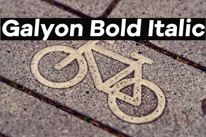 Galyon Bold Italic Example 3