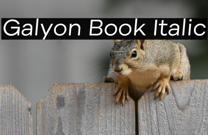 Galyon Book Italic Example 1