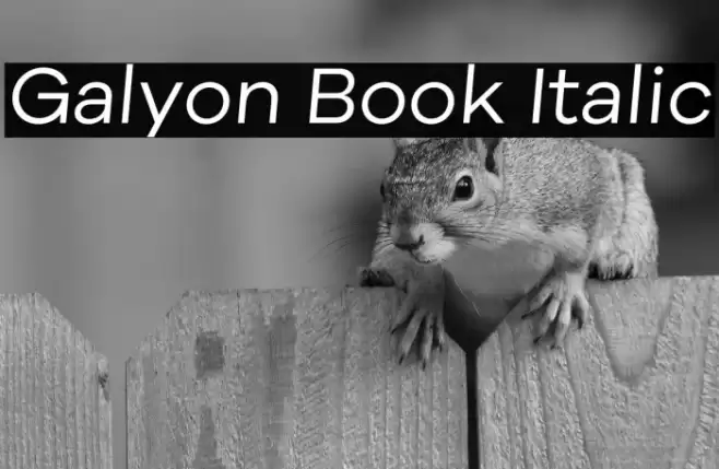 Galyon Book Italic Polices examples