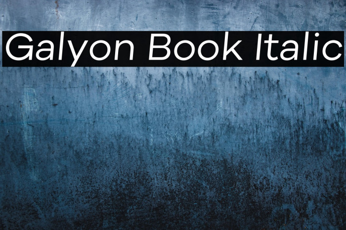 Galyon Book Italic Example 2