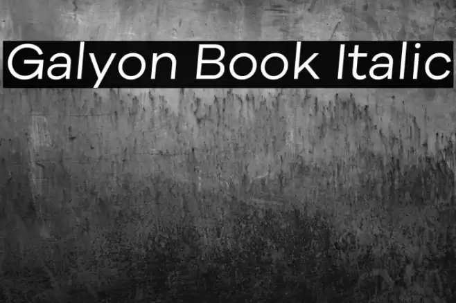 Galyon Book Italic Polices examples