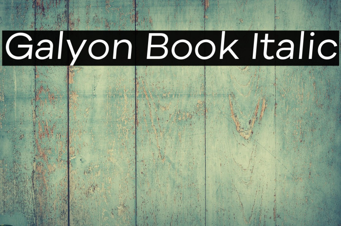 Galyon Book Italic Example 3