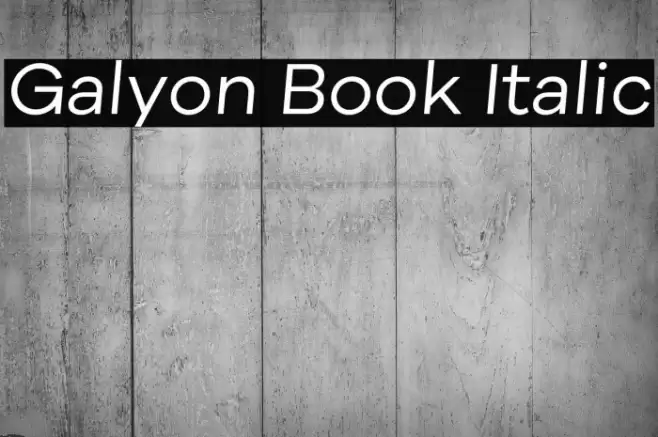 Galyon Book Italic Polices examples