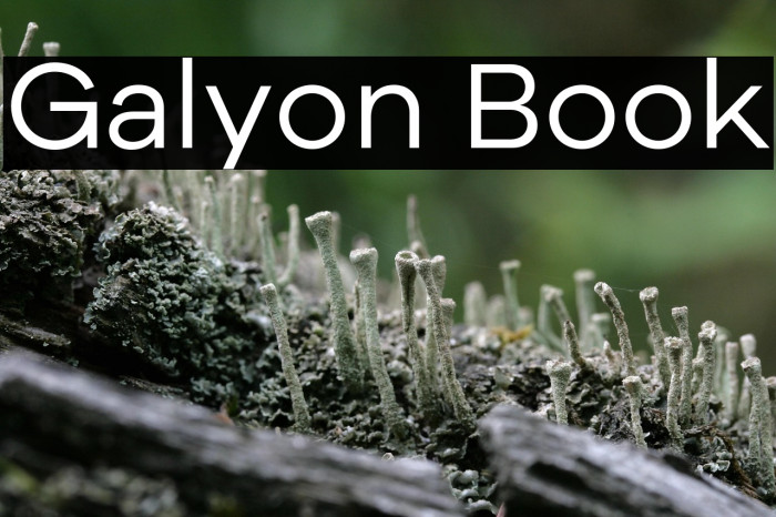 Galyon Book Example 1