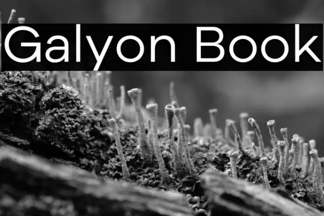 Galyon Book Fonte examples