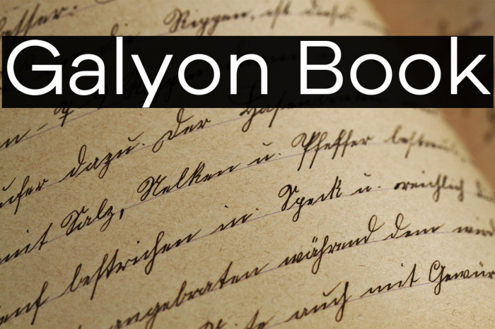 Galyon Book Example 2