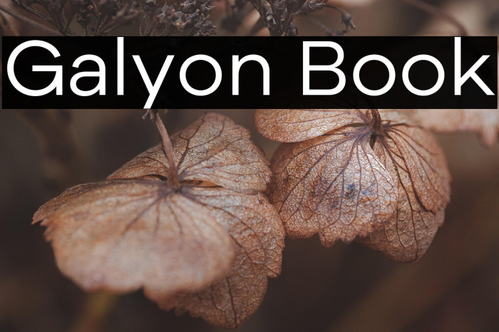 Galyon Book Example 3