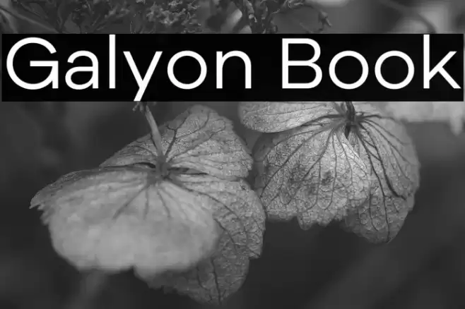 Galyon Book Fonte examples