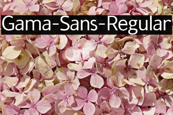 Gama-Sans-Regular لخطوط تنزيل examples