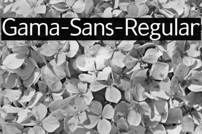 Gama-Sans-Regular خط examples