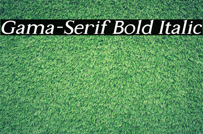 Gama-Serif Bold Italic Font examples