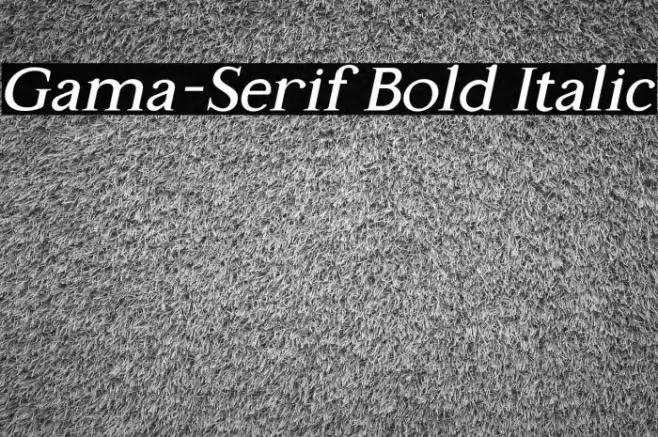 Gama-Serif Bold Italic Caratteri examples
