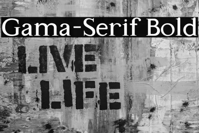 Gama-Serif Bold Caratteri examples
