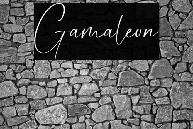 Gamaleon Font examples