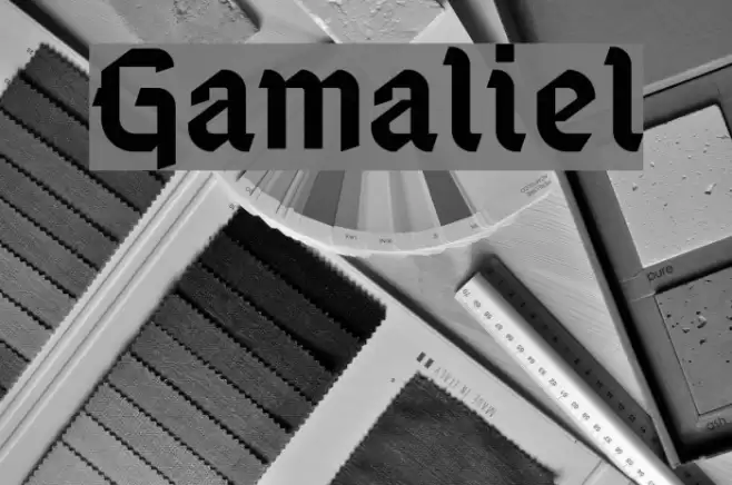 Gamaliel Fonte examples