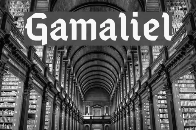 Gamaliel Fonte examples