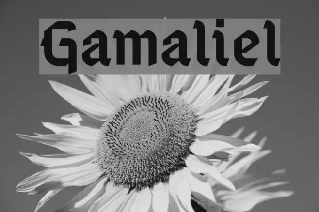Gamaliel Fonte examples